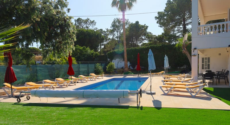 The pool, loungers and pine trees