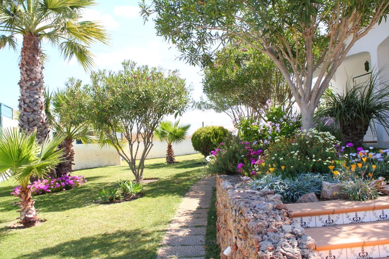Garden with palm trees and flower beds