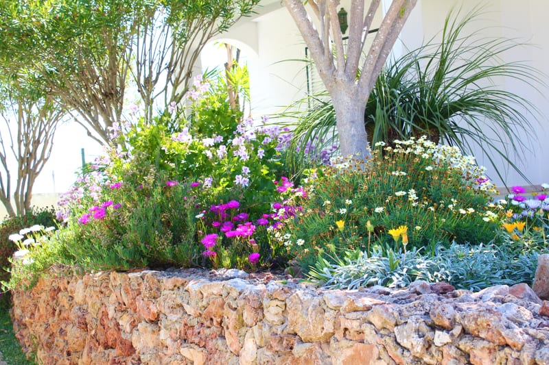 Flower bed and stone wall in the garden